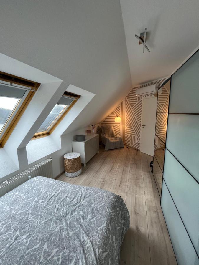 105 Qm Neues Klimatisiertes Appartment Fuer Familien Privater Parkplatz Chemnitz  Exteriér fotografie